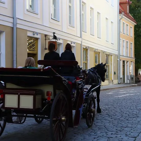 Pikk Old Town * Tallinn